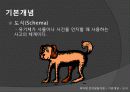피아제의 인지발달이론 4페이지