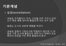 피아제의 인지발달이론 6페이지