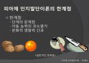 피아제의 인지발달이론 23페이지