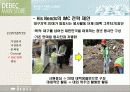 대백파이널 15페이지