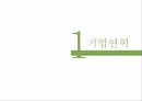 세멕스의 해외직접 투자 3페이지
