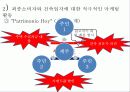 세멕스의 해외직접 투자 13페이지