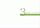 세멕스의 해외직접 투자 14페이지