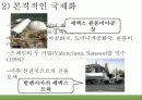 세멕스의 해외직접 투자 16페이지
