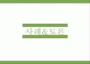 세멕스의 해외직접 투자 26페이지