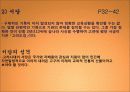 교육의 역사 12페이지