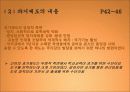 교육의 역사 15페이지