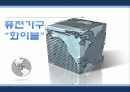 바이럴마케팅 1페이지