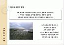[사회적원자] 철학적인간학 - 사회 물리학의 소개, 저자의 핵심 주장, 패턴의 이해, 인간의 비합리성, 집단의 형성, 인간 간의 협력, 사회물리학 평가 5페이지
