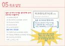 카라,한류 - 카라(KARA)의 성공적 일본진출을 위한 마케팅 전략 제안 15페이지