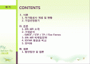 Fly, better fly - JIN AIR(저가항공사 진에어) 2페이지