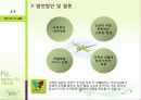 Fly, better fly - JIN AIR(저가항공사 진에어) 20페이지
