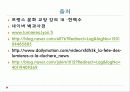 리옹_빛_축제 12페이지