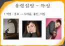 에니어그램 7페이지