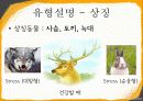 에니어그램 12페이지