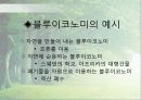 에코노믹 7페이지