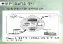 에코노믹 8페이지