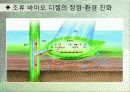 에코노믹 16페이지