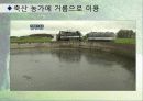 에코노믹 24페이지