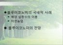 에코노믹 25페이지