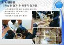 달걀 화려한 낙하 실험후-V02(레포트월드) 8페이지