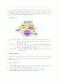 미샤의 마케팅전략 완서론및 선정이유/미샤소개/블루오션 경영/화장품산업분석/4대 마케팅전략/PLC분석/4P분석/STP전략/SWOT분석/타사(스킨푸드,에뛰드,더페이스샵)제품 비교분석 성본 12페이지