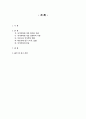 국가부채 2페이지
