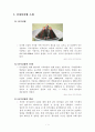 『삼각김밥』마케팅 전략 3페이지