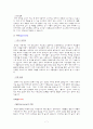 글로벌_마케팅_신라면중국진출 9페이지