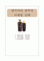 댕기머리 샴푸의 마케팅 전략 1페이지