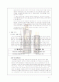 댕기머리 샴푸의 마케팅 전략 25페이지