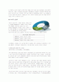 롯데리아의 글로벌 마케팅 9페이지
