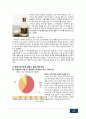 마케팅 분석 24페이지