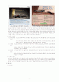 보고서(최종) 8페이지