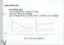 하이트 29페이지