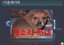 한국적인것이란 6페이지