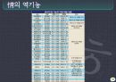 한국적인것이란 18페이지