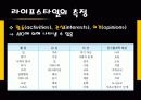 개성과라이프스타일1 12페이지
