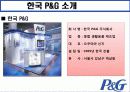 다국적 기업 P&G 10페이지