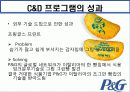 다국적 기업 P&G 30페이지