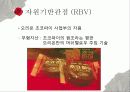 경영전략론_오리온_ 30페이지
