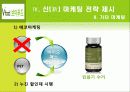 브이푸드마케팅전략제시_ 34페이지
