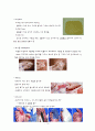 화상 케이스 12페이지