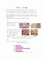 화상 케이스 19페이지