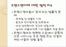 성적소수자의인권 17페이지