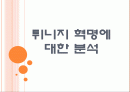 [튀니지혁명] 튀니지 혁명에 대한 분석 1페이지