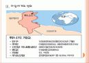 [튀니지혁명] 튀니지 혁명에 대한 분석 9페이지