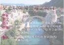 A+ 유고(세르비아,보스니아)조사 PPT 유고슬라비아, 세르비아, 동유럽, 보스니아헤르체코비아, 보스니아, 유고PPT, 유고세르비아  25페이지