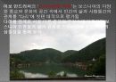 A+ 유고(세르비아,보스니아)조사 PPT 유고슬라비아, 세르비아, 동유럽, 보스니아헤르체코비아, 보스니아, 유고PPT, 유고세르비아  37페이지