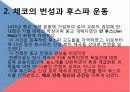 A+ 체코조사 PPT 체코, 체코음식, 체코종교, 체코도시, 체코화폐, 체코슬로바키아, 체코소개, 체코란?  22페이지